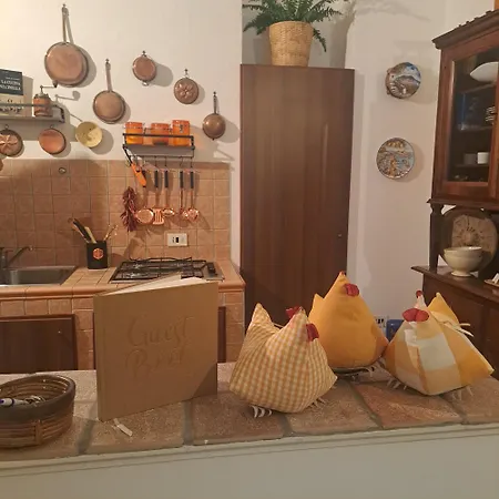 Casa Dodo 4*